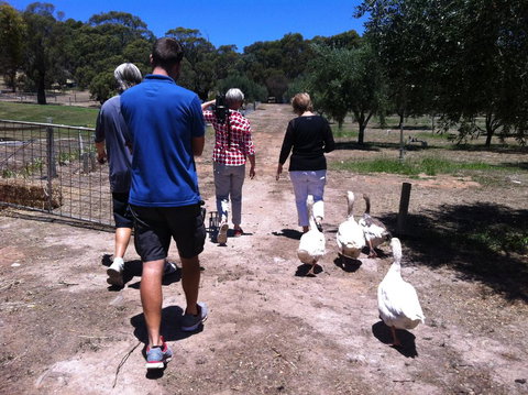 The Farm Willunga - VIC Tourism 1