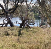 The Lake House - VIC Tourism