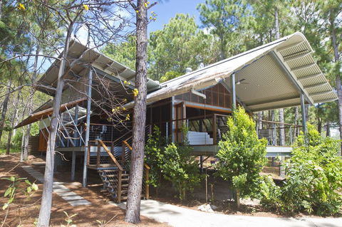 The Pines - VIC Tourism 0