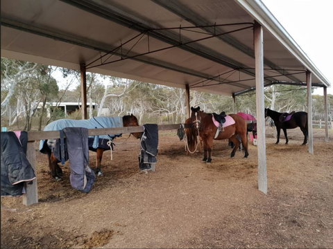 The Saddle Camp Tiny House, Braidwood - VIC Tourism 1