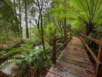 Book Tanybryn Accommodation Vacations VIC Tourism VIC Tourism