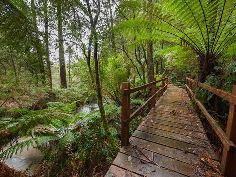 The Source, Otways - VIC Tourism 0