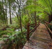 The Source Otways - VIC Tourism