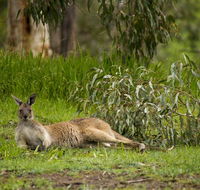 The Stirling Golf Club - VIC Tourism