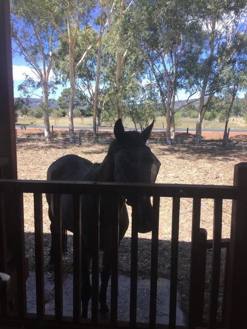 Thie My Chree Retreat - VIC Tourism 3