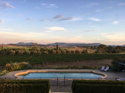 Tranquil Vale Vineyard - VIC Tourism 0