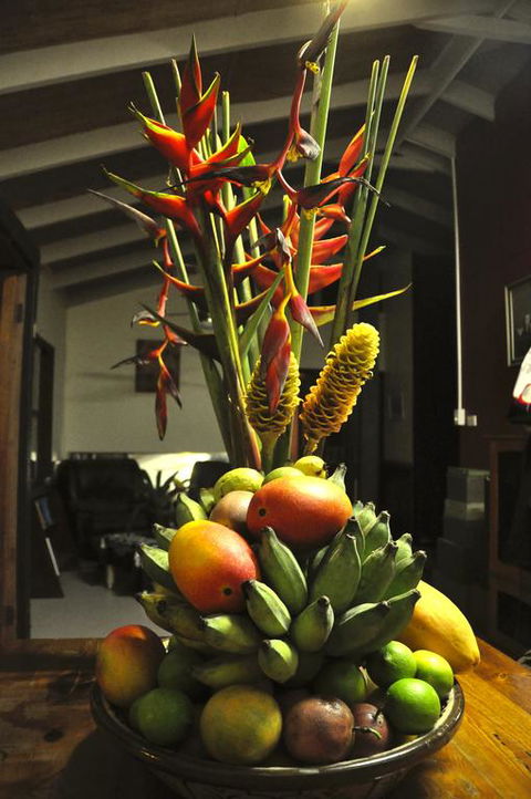 Tropical Bliss Bed And Breakfast - VIC Tourism 3