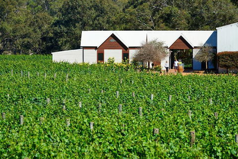 Upper Reach Spa Cottage - VIC Tourism 0