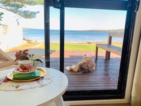 Vandy's Shack At Mount Dutton Bay - Ideal For Couples And Small Families - VIC Tourism 3