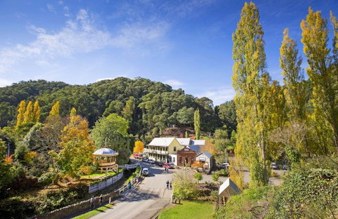 Walhalla's Star Hotel - VIC Tourism 0