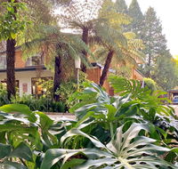 Warburton Motel - VIC Tourism
