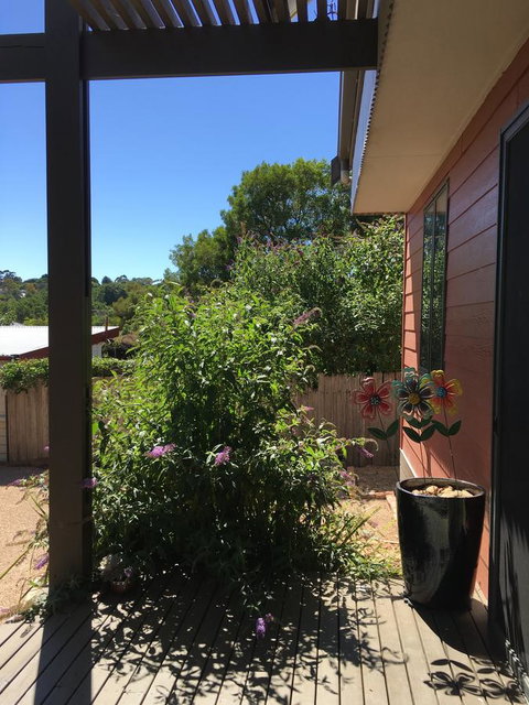 Daydream Cottage - VIC Tourism 10