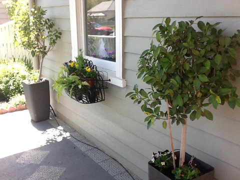 Redruth Cottage - VIC Tourism 19