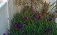 Redruth Cottage - thumb 24