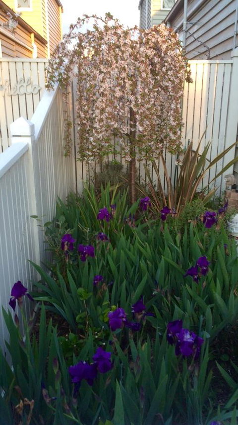 Redruth Cottage - VIC Tourism 24