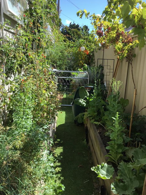 Redruth Cottage - VIC Tourism 7