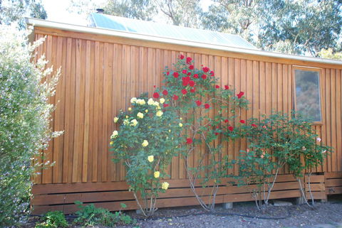 Bluegum Ridge Cottages - VIC Tourism 23