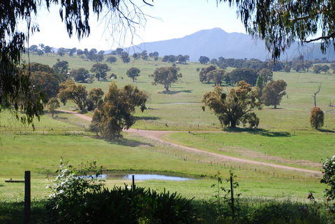 Bluegum Ridge Cottages - VIC Tourism 31