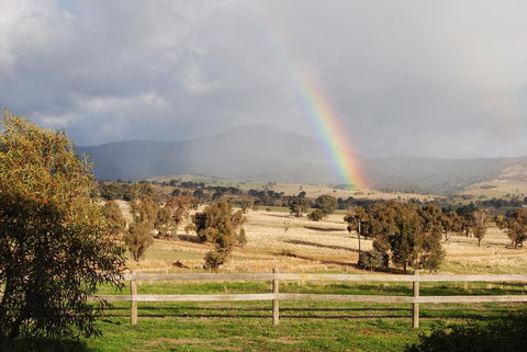 Bluegum Ridge Cottages - VIC Tourism 32
