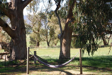 Bluegum Ridge Cottages - VIC Tourism 28