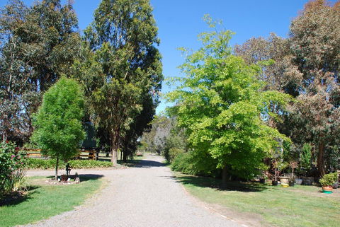 Bluegum Ridge Cottages - VIC Tourism 5