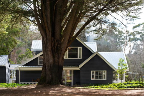 The Orchard - VIC Tourism 0