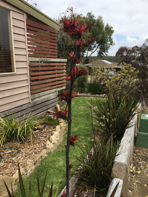 The PC Cottage - VIC Tourism 31