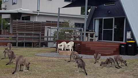 The A-Frame - VIC Tourism 3