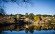 Chestnut Daylesford - thumb 14