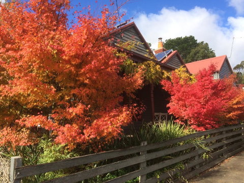 Chestnut Daylesford - VIC Tourism 13