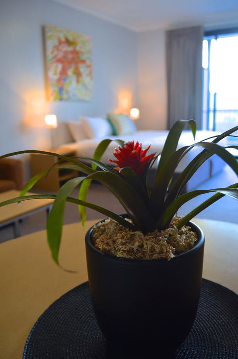 Mansfield Apartments - VIC Tourism 21