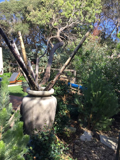 Moonah Woodlands Resort - VIC Tourism 38