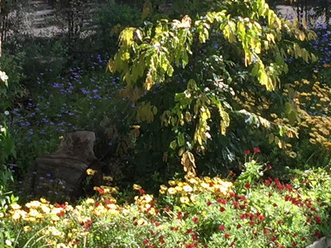 Moonah Woodlands Resort - VIC Tourism 35