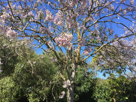 Moonah Woodlands Resort - VIC Tourism 36