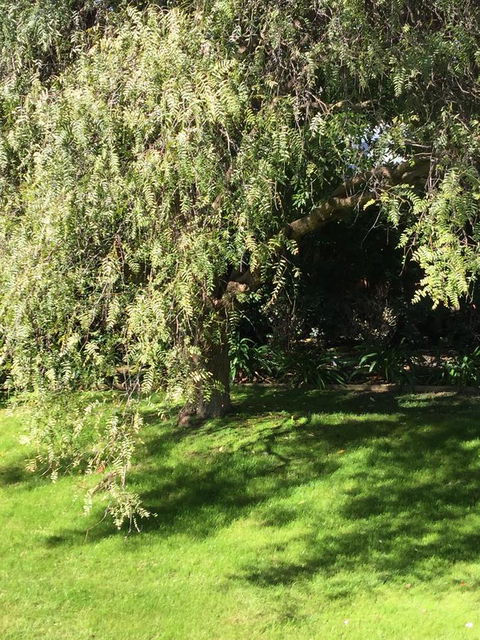 Moonah Woodlands Resort - VIC Tourism 37