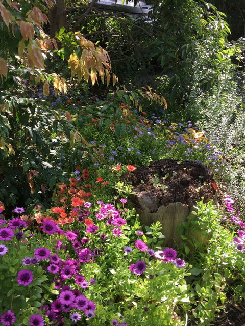 Moonah Woodlands Resort - VIC Tourism 34