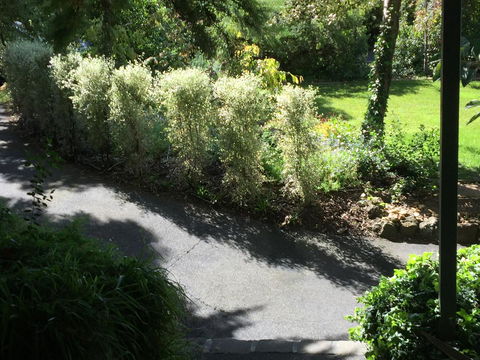 Moonah Woodlands Resort - VIC Tourism 39