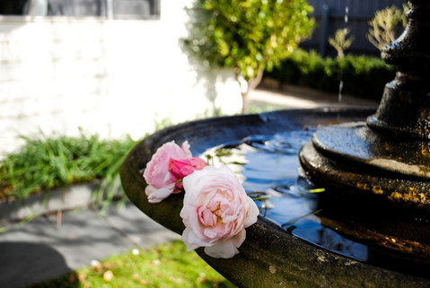 Bed Of Roses - VIC Tourism 35