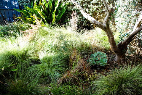 Bed Of Roses - VIC Tourism 21