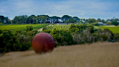 Sunryes Beach House - VIC Tourism 35