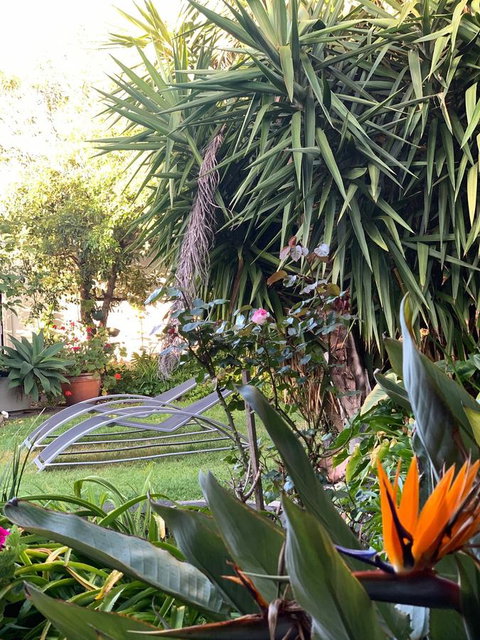 Sunryes Beach House - VIC Tourism 32