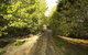 Angel's Rest - thumb 0