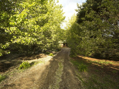 Angel's Rest - VIC Tourism 0