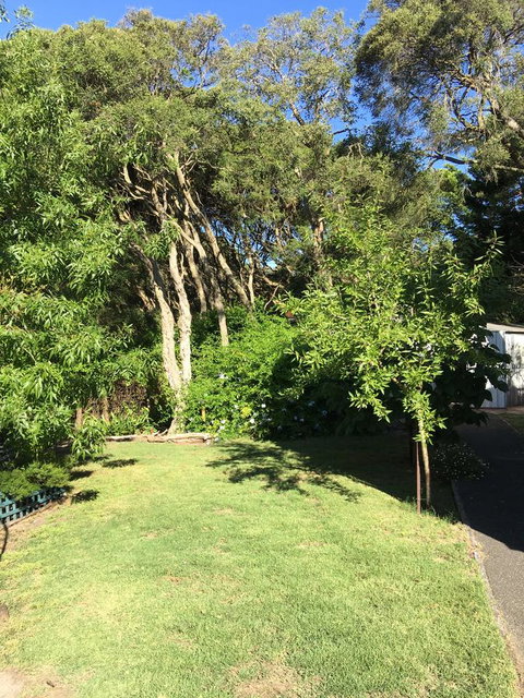 Nest On A Crest - VIC Tourism 35