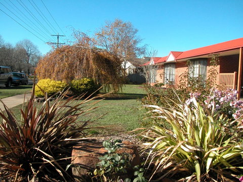 Ambassador Motor Inn - VIC Tourism 31