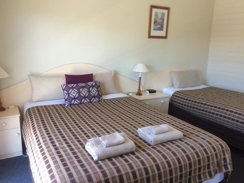 Ambassador Motor Inn - VIC Tourism 13