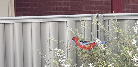 Torquay Timeout - VIC Tourism 14