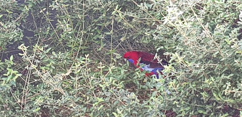 Torquay Timeout - VIC Tourism 16