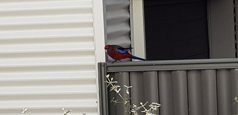 Torquay Timeout - VIC Tourism 15