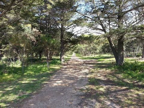 Torquay Timeout - VIC Tourism 21